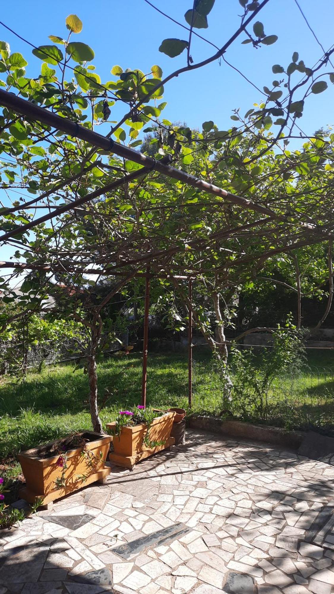 Appartements Lena. Premantura Ngoại thất bức ảnh